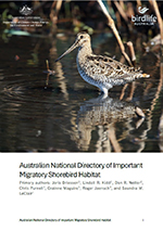 cover of the report