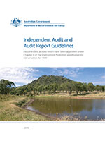 Independent Audit and Audit Report Guidelines thumbnail