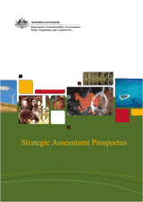 Strategic Assessment Prospectus  thumbnail
