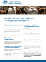 Northern Territory cattle production and national environment law thumbnail