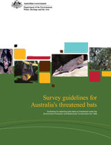 Survey guidelines for Australia's threatened bats: Guidelines for detecting bats listed as threatened under the EPBC Act thumbnail