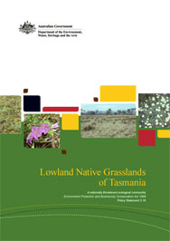 Lowland native grasslands of Tasmania thumbnail
