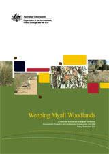 Weeping Myall Woodlands thumbnail