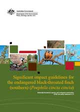 Significant impact guidelines for the endangered black-throated finch (southern) (Poephila cincta cincta) thumbnail