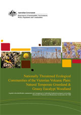 Nationally Threatened Ecological Communities of the Victorian Volcanic Plain: Natural Temperate Grassland & Grassy Eucalypt Woodland thumbnail