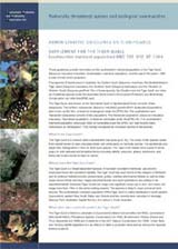 Administrative Guidelines on Significance - Supplement for the Tiger quoll (southeastern mainland population) and the use of 1080 thumbnail