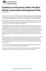 Guidance on key terms within the Blue Whale Conservation Management Plan thumbnail