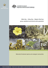 White box - yellow box - Blakely's red gum grassy woodlands and derived native grasslands thumbnail