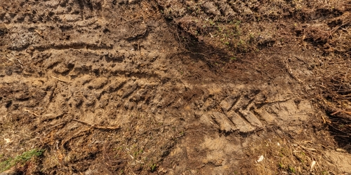 Photograph of tyre marks in a gravel road