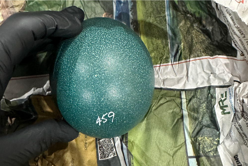 Emu egg