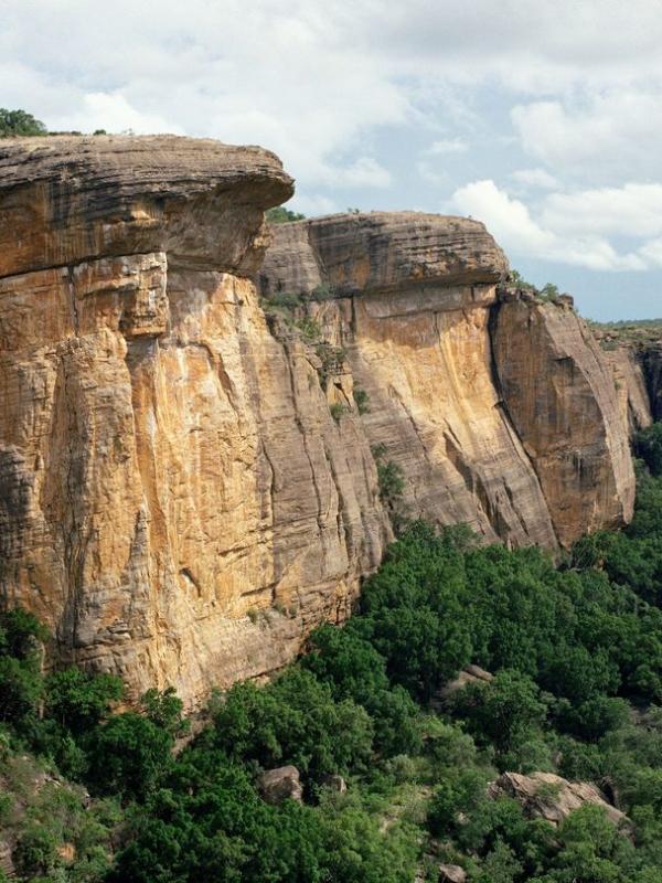 Kakadu
